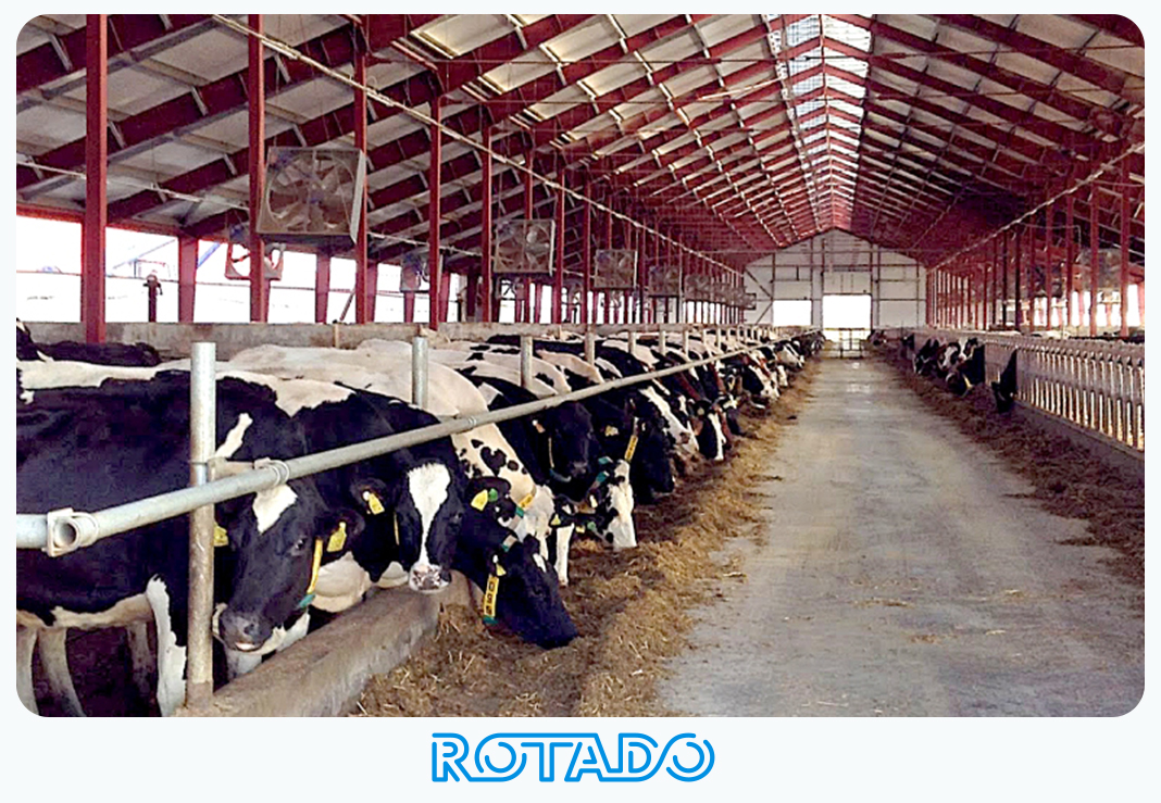 Вентиляция коровника в холодное время года